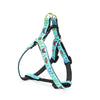 Up Country Butterfly Effect Small Breed Dog Harness