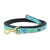 Up Country Butterfly Effect Small Breed Dog Lead