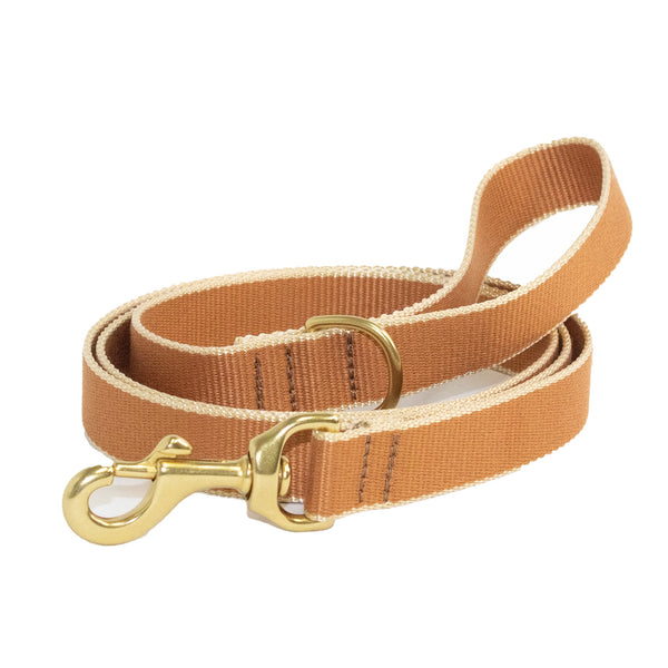 Up Country Color Market Dog Lead