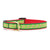 Up Country Candy Cane Small Breed Dog Collar