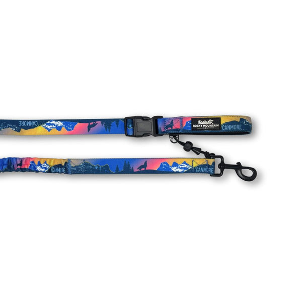 Rocky Mountain Dog V2 Canmore All Mountain Dog Leash