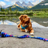Rocky Mountain Dog V2 Canmore All Mountain Dog Leash