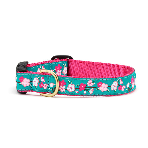 Cherry Blossoms Dog Collar Up Country