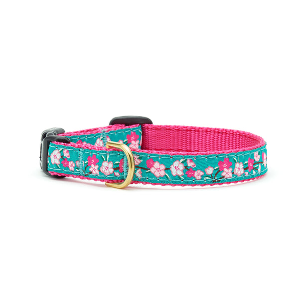 Up Country Cherry Blossoms Small Breed Dog Collar