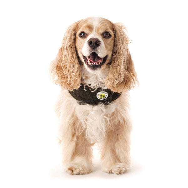 Up Country Chester Barn Coat