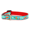 Up Country Cinco de Mayo Small Breed Dog Collar