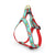 Up Country Cinco de Mayo Dog Harness