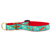 Up Country Cinco de Mayo Martingale Dog Collar