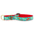 Up Country Cinco de Mayo Martingale Dog Collar