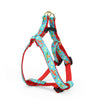 Up Country Cinco de Mayo Small Breed Dog Harness
