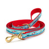 Up Country Coastal Dog Lead