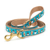 Up Country Coffee Nut Dog Lead