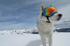 Rocky Mountain Dog V2 Small Dog Goggles