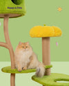 Happy & Polly Upgraded Jungle Haven Cat Tree