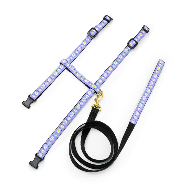 Up Country Daisy Cat Harness Set