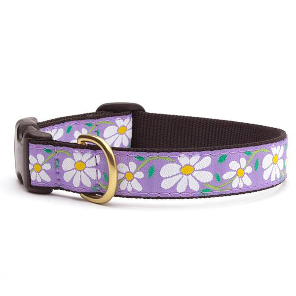 Up Country Daisy Dog Collar