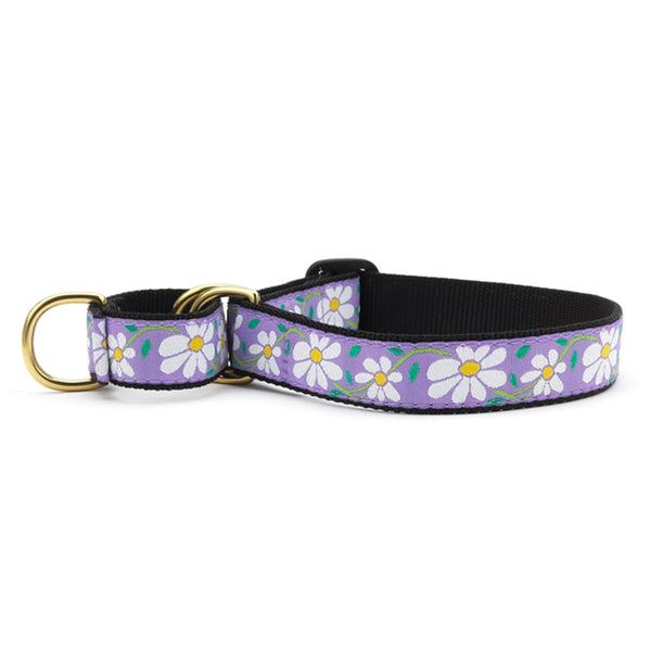 Up Country Daisy Martingale Dog Collar