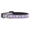 Up Country Daisy Small Breed Dog Collar