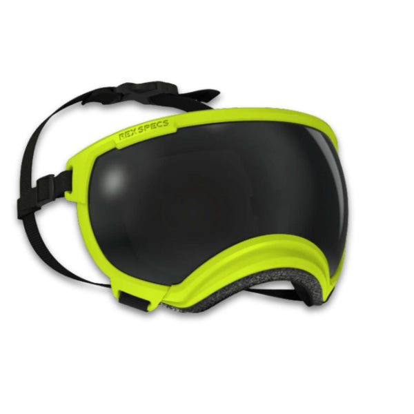 Rocky Mountain Dog V2 Medium Dog Goggles