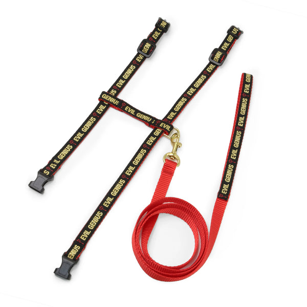 Up Country Evil Genius Cat Harness Set