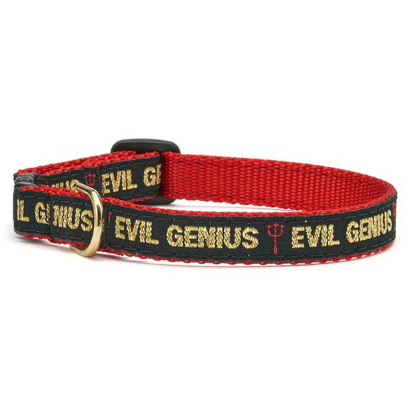 Up Country Evil Genius Cat Collar