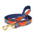 Up Country Feelin' Groovy Dog Lead