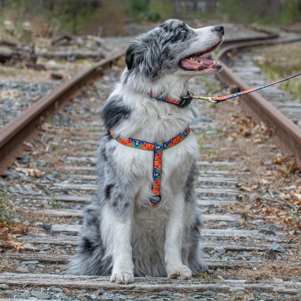 Up Country Feelin' Groovy Dog Harness