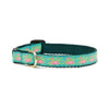 Up Country Flamingo Small Breed Dog Collar