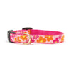 Up Country Flower Power Small Breed Dog Collar