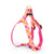 Up Country Flower Power Dog Harness