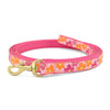 Up Country Flower Power Small Breed Dog Lead