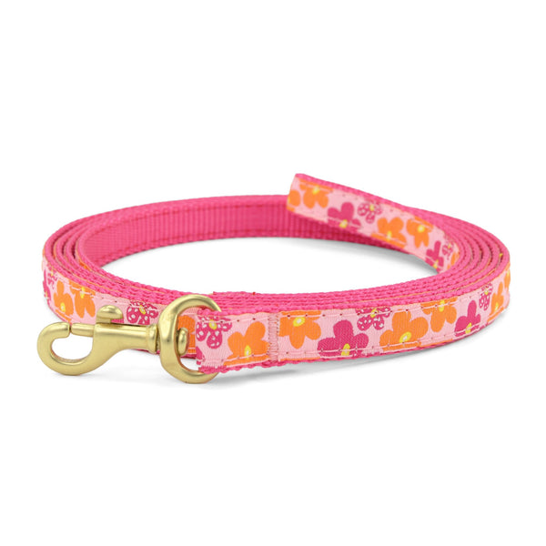 Up Country Flower Power Small Breed Dog Lead