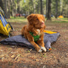 Rocky Mountain Dog Yukon Dog Sleeping Bag