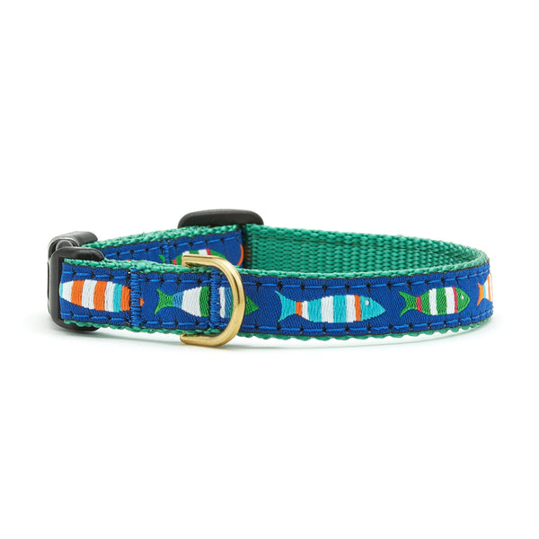 Up Country Funky Fish Small Breed Dog Collar