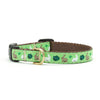 Up Country Garden Rabbit Small Breed Dog Collar