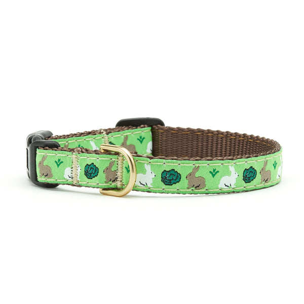 Up Country Garden Rabbit Small Breed Dog Collar