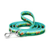 Up Country Get Outdoors Printed Dog Lead