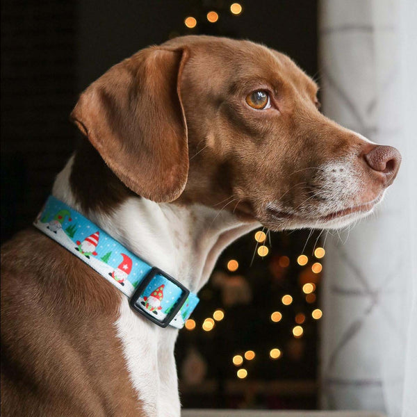 Up Country Gnomes Printed Dog Collar