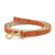 Up Country Gobble Small Breed Dog Lead