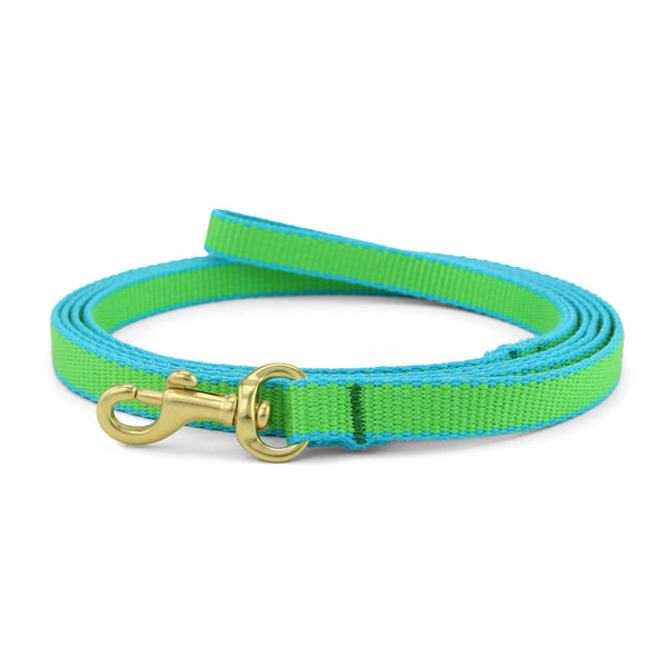 Up Country Color Market Small Breed Dog Lead