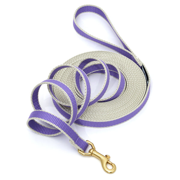 Up Country Color Market Training Lead