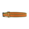 Up Country Color Market Dog Collar - Small Breed