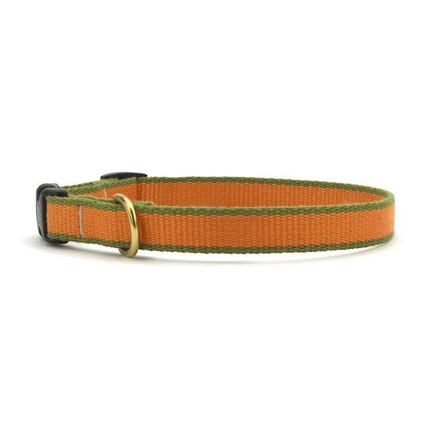 Up Country Color Market Dog Collar - Small Breed