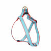 Up Country Color Market Dog Harness