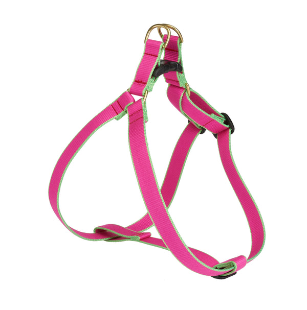 Up Country Color Market Dog Harness