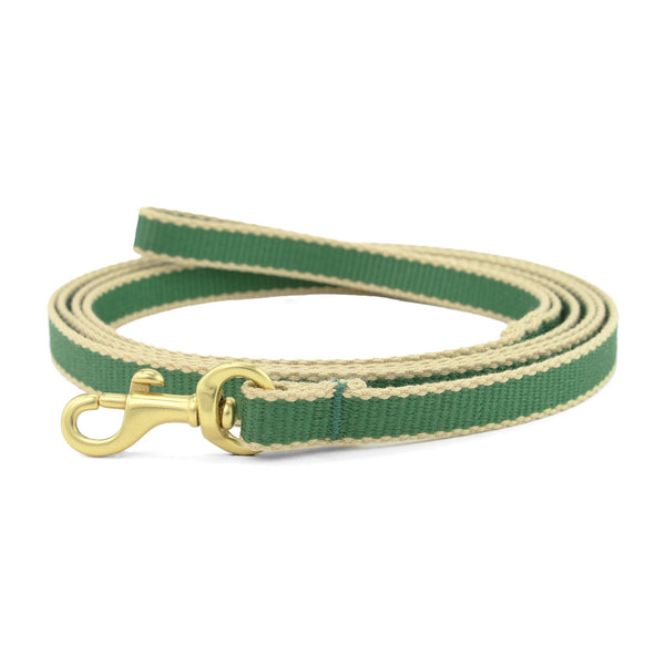 Up Country Color Market Small Breed Dog Lead