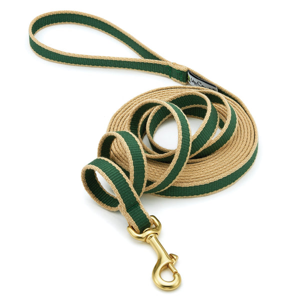 Up Country Color Market Training Lead