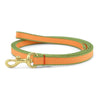 Up Country Color Market Small Breed Dog Lead