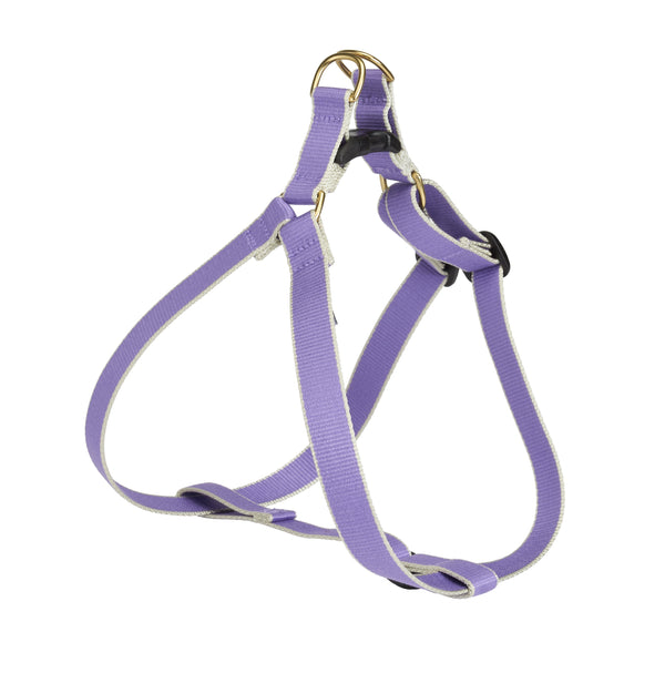 Up Country Color Market Dog Harness