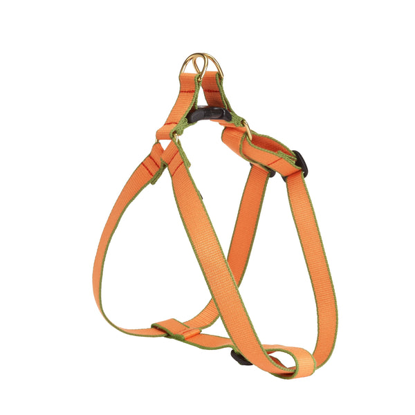 Up Country Color Market Dog Harness